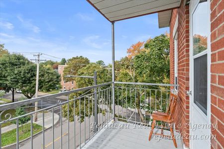 915 Av. Marguerite-Bourgeoys #30 - Photo 2