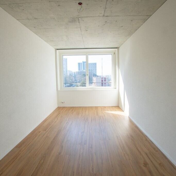 Moderne 2.5 ZWG avec immense terrasse partagée sur le toit - Photo 1