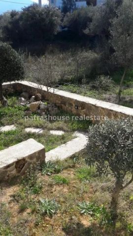 Διαμέρισμα για ενοικίαση Λάγγουρα (Πάτρα) - Photo 3