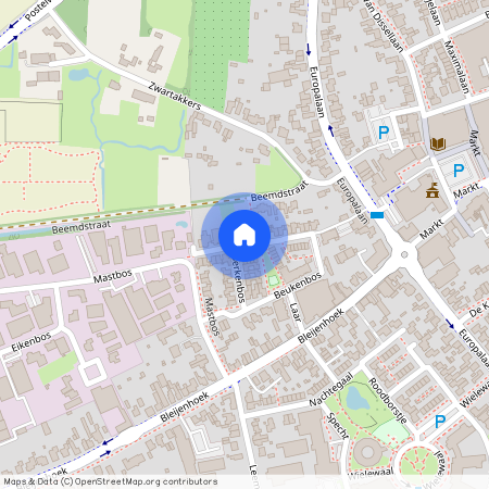 Bladel Zuid, 5531 MR, Beukenbos, Bladel