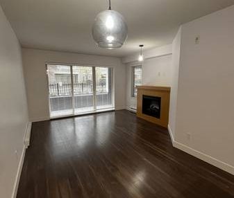 Spacious 1 bedroom 1 bathroom - Walnut Grove/Carvolth - Photo 3