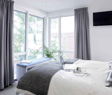 Gold Studio Premium - Photo 5