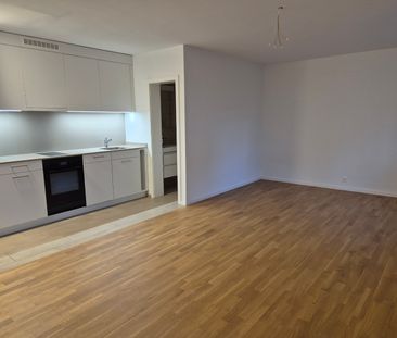 1 Zimmer, 30 m², EG - Photo 5