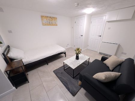 Studio Flat, Birch Polygon, M14 - Photo 3