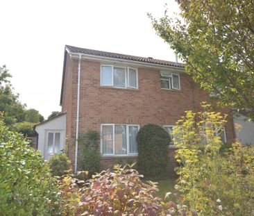 1 bedroom cluster house to rent - Photo 6