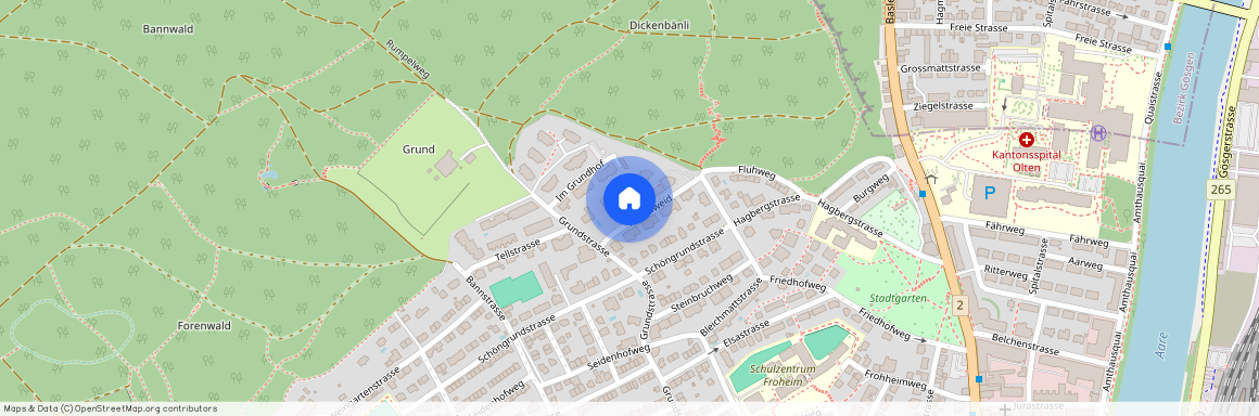 Hasenweid 8, 4600 Olten