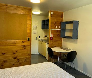 Fully Furnished Studio in Mt Cook - Photo 3