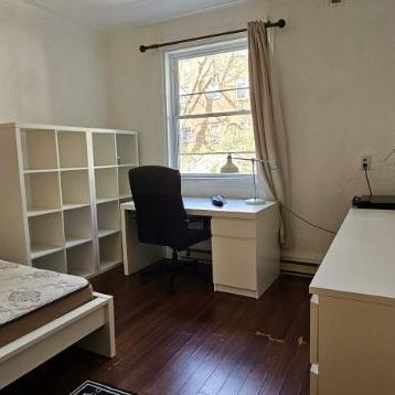 Studio - Montréal - $900 /mo - Photo 3