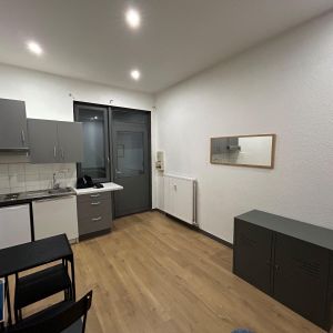 Location Appartement 1 pièce 17m² GRENOBLE 38100 - Photo 2