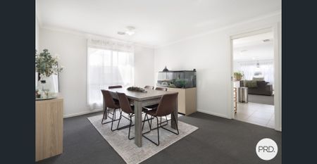 BEAUTIFUL FAMILY HOME IN PRIME ALFREDTON LOCATION !! - Photo 2