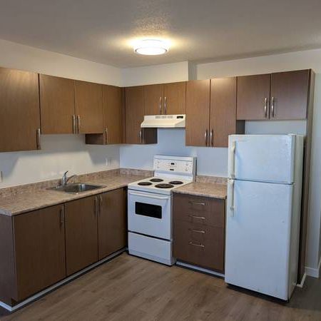 Bachelor / Studio - Available - Boundary & East Hastings - Photo 1