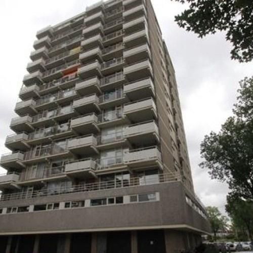 Willemstraat, 2713 Zoetermeer, Nederland - Photo 1