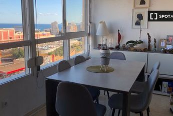 alicante, Valencian Community 03013