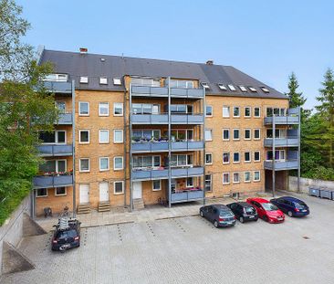 Afd. 14 Mariehøj - Photo 1