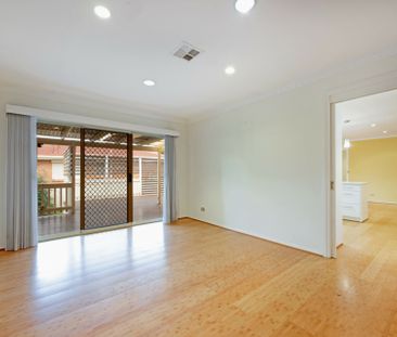 Popular Palmerston Entertainer! - Photo 3