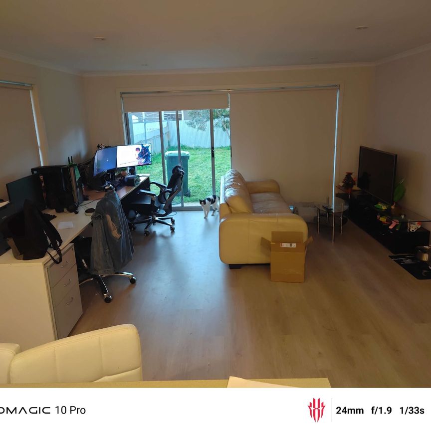 Elizabeth North - Photo 1