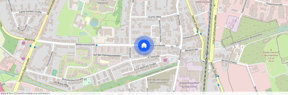 Wildermannstr. 66, 45659 Recklinghausen OT Mitte