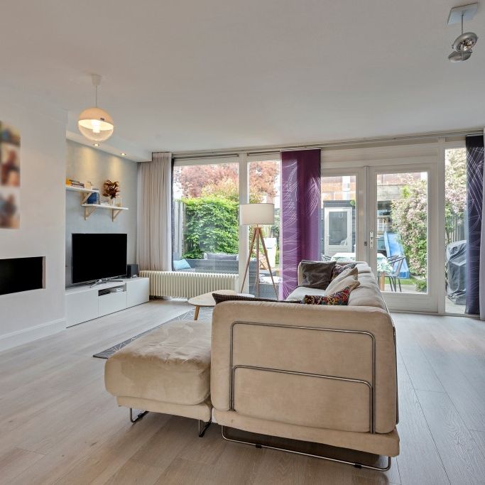 EINDHOVEN, Zandroos - Foto 1