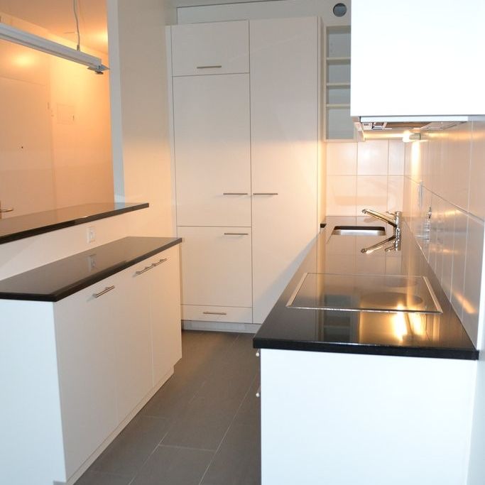 Traversant - Jonction - Bois de la Bâtie - Photo 1