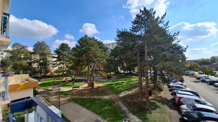 T3 de 67 m² – vue sur le parc et proche des transports - Photo 4