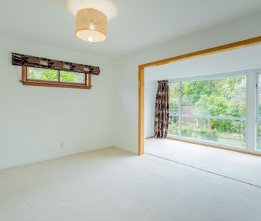 Sunny in Sunmer - Photo 5