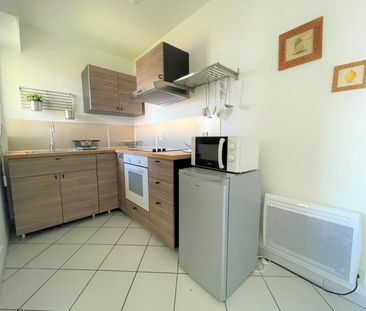 Location Appartement 1 pièce 28m² COLLONGES SOUS SALEVE 74160 - Photo 4