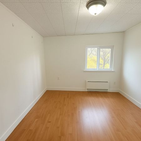 For Lease - 61 Cedar Drive Unit# MAIN, Toronto, Ontario - Photo 4
