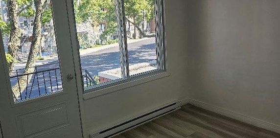 3 1/2 TOUT INCLUS, RÉNOVÉ À NEUF - Photo 2