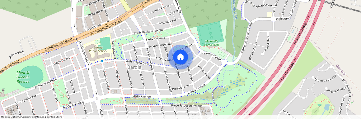 99 Arthur Allen Drive, NSW 2565, Bardia