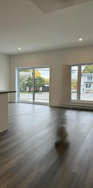 Logements neufs Coteau du lac - Photo 1