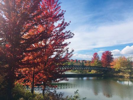 For Lease - 77 Weatherill Road, Markham, Ontario - Photo 4