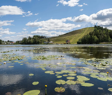 Slalomvägen 16, Väsjön - Photo 3