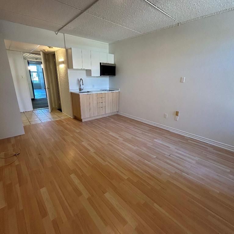 Studio - Saint-Charles-Borromée - $1,099 /mo - Photo 1