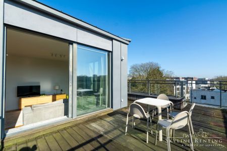 Mooi gemeubileerd penthouse - 2k + terras (Ter Kamerenbos) - Photo 3