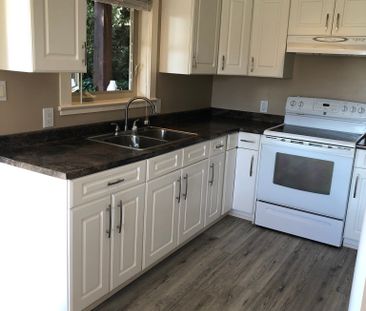 1Bedroom & Den (Powell River) - Photo 1