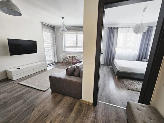 Katowice, Osiedle Tysiąclecia, Chorzowska Mieszkanie na wynajem - Photo 1