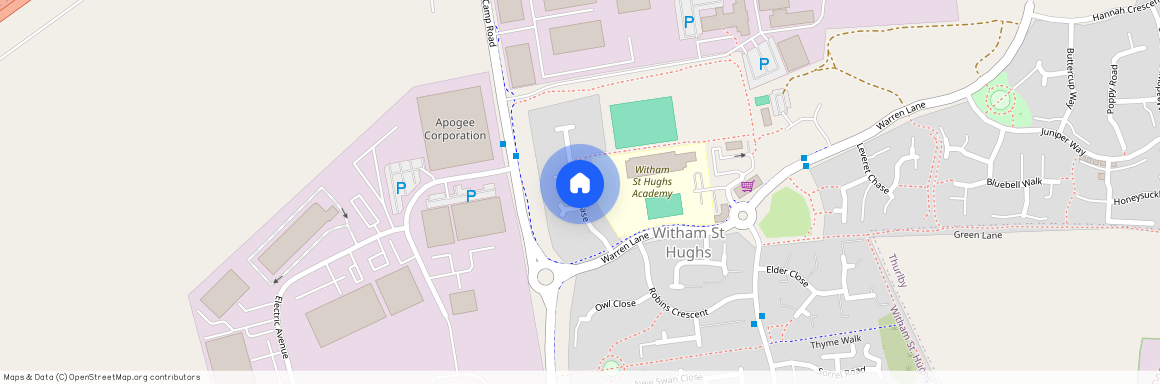 Squirrel Chase, Witham St Hughs, LN6