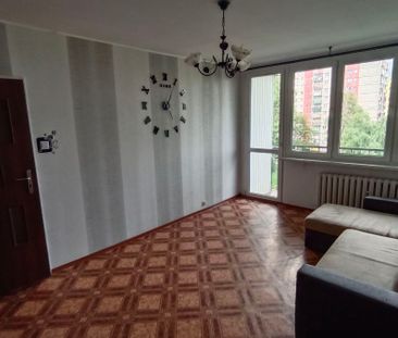 Wolne od zaraz - Photo 1