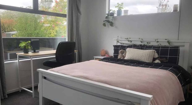 New Build 3BR Home with Deck in Awapuni - Photo 1