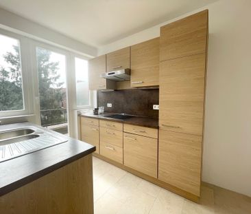 Rue de l'Elan, 1170, Watermael-Boitsfort - Photo 4