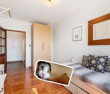 Pronájem bytu 3+1 • 88 m² bez realitkyChalabalova, Praha - Stodůlky - Photo 5