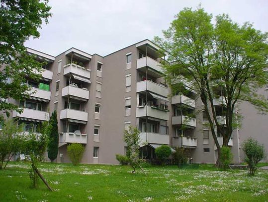 Gemütliche Wohnung in Zürich-Seebach - Photo 1