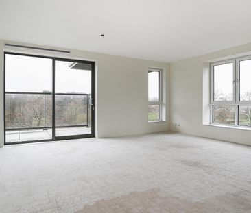 Te huur: Appartement Loevesteinlaan in Den Haag - Foto 1