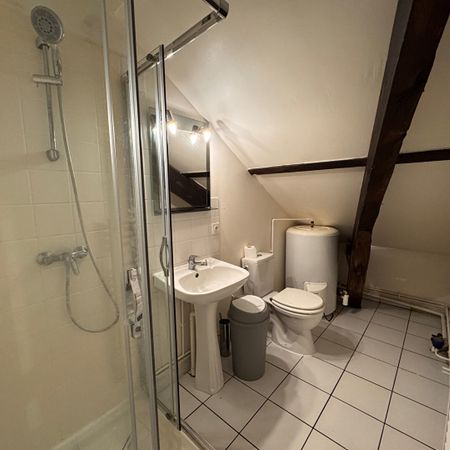 Location Appartement 2 pièces 16m² - Photo 3