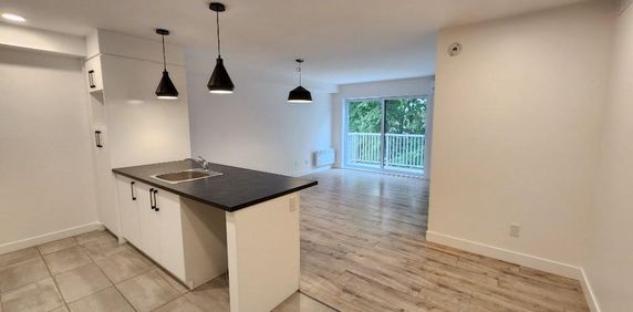NOUVEAU**3 ½ avec BUREAU et STATIONNEMENT** Ste-Foy - Photo 2