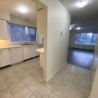 Central 1 Bedroom - Kitsilano - Photo 3