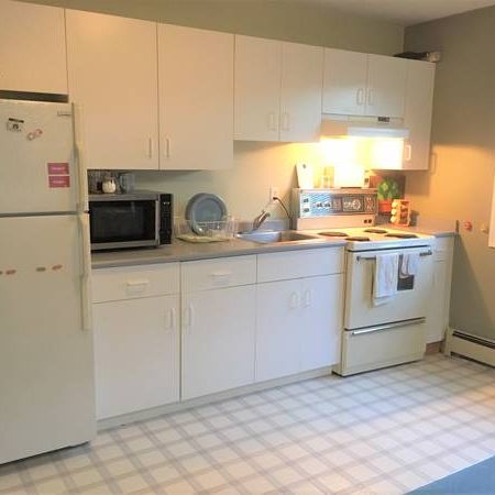 Spacious 1 bedroom and 1-bathroom suite near UVIC in Gordon Head - Photo 4