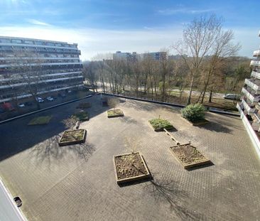 Te huur: Appartement Prinses Beatrixlaan 441 in Rijswijk - Photo 1