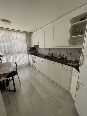 Helle Wohnung mit Sitzplatz, Waschturm und Hobbyraum - Photo 1