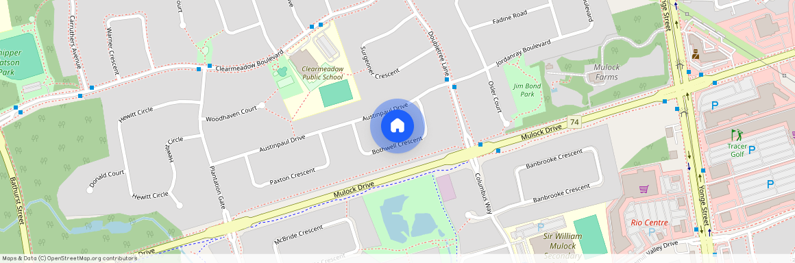 137 Bothwell Crescent Unit# Basment, Newmarket